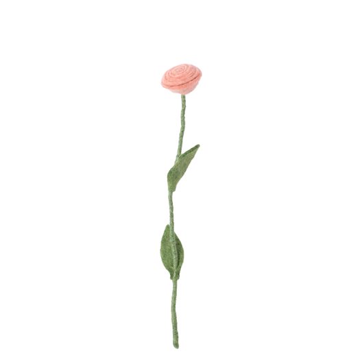 Aveva evig blomma ros rosa