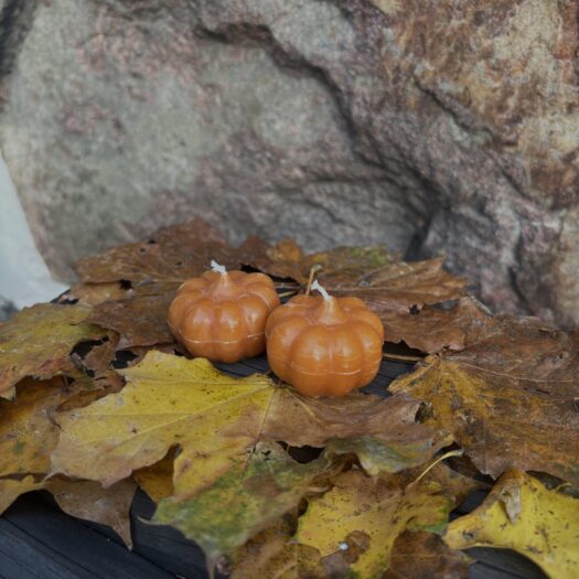 Pumpaljus rostorange