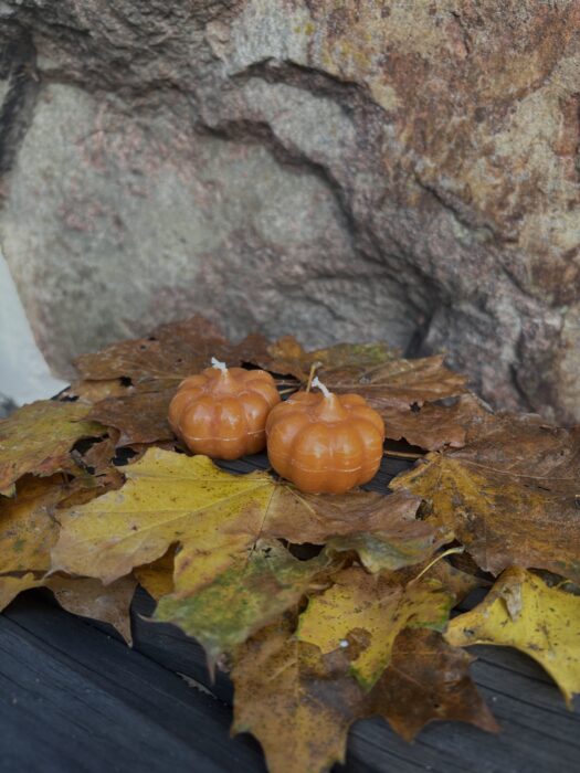 Pumpaljus rostorange